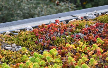the cost of Stryt Issa green roof installation