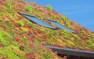 Stryt Issa living roof systems