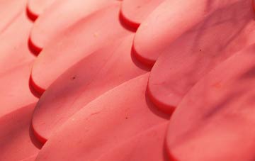 Stryt Issa plastic roof costs