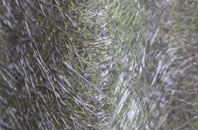 Stryt Issa fibreglass roof work